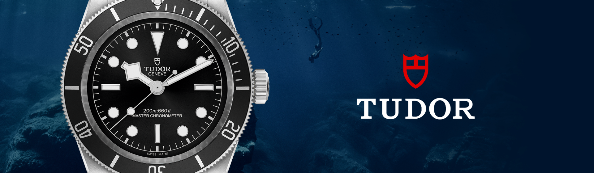 Tudor-banner (2)