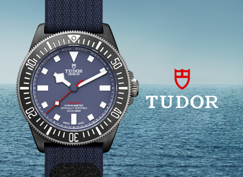 Tudor-banner pelgos FXD 480x264